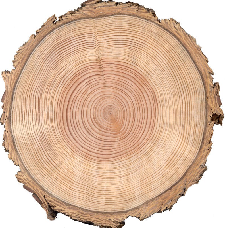 Tree rings - Ehleringer Lab University of Utah