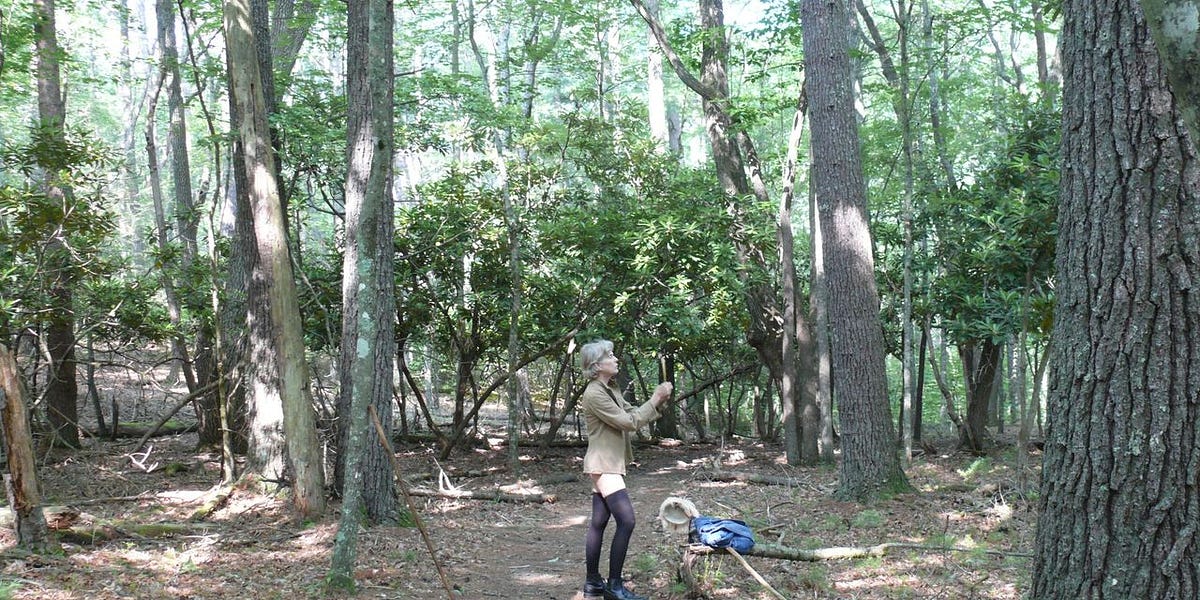 My Naked Wife - by M Sarki - The Marriage Bed