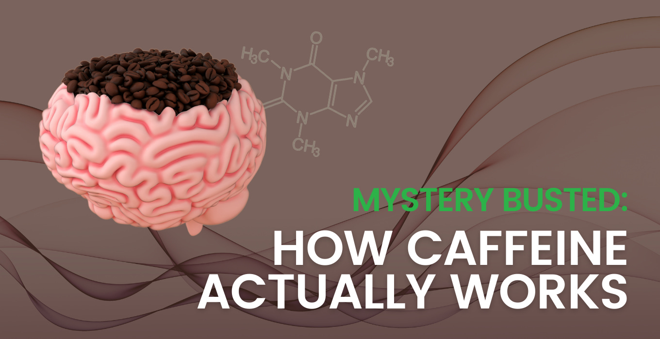 Mystery Busted: How Caffeine Actually Works on Your Brain & Body Mystery Busted: How Caffeine Actually Works on Your Brain & Body