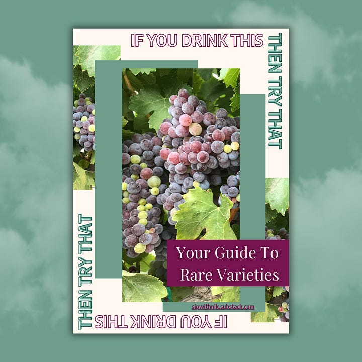food and wine pairing guides, Sardinia wine tasting guide