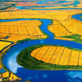 Yingkou: China's Blueprint for Community Capitalism