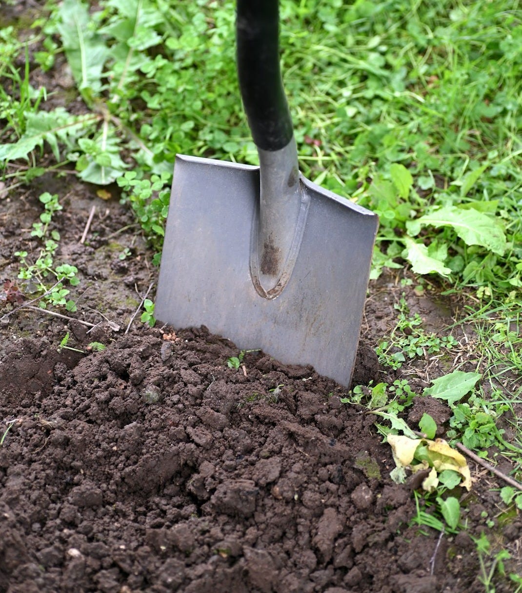 black and brown shovel on green grass