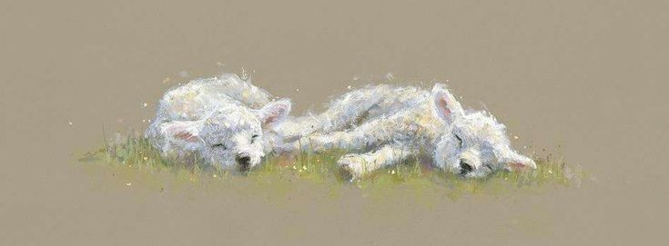 This may contain: two lambs laying down in the grass with their heads on each other's backs This may contain: two lambs laying down in the grass with their heads on each other's backs