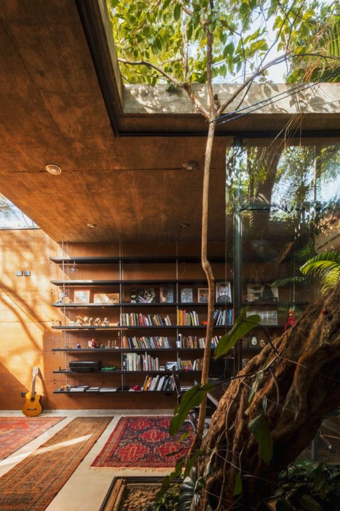 An image added by nadir on Jan 21, 2024. May present: plant, property, building, tree, architecture.