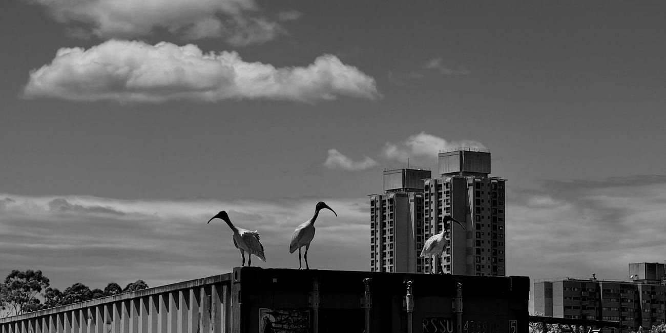 Photo essay: Carriageworks, 2025. 