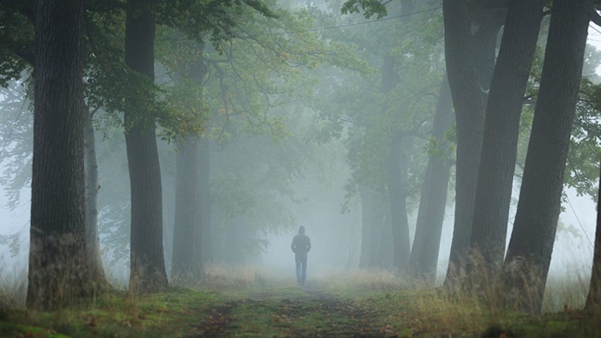 Alone In The Woods. When is the last time you were truly… | by Chasing  Strength | Medium