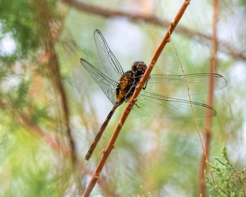 20260828-ElRio-278-Edit.jpg