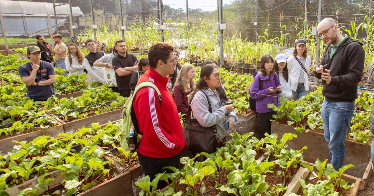 Pessoas dentro de uma grande estufa de plantas observando uma pessoa segurando uma planta e falando Pessoas dentro de uma grande estufa de plantas observando uma pessoa segurando uma planta e falando