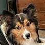 Margaret Pangman's avatar