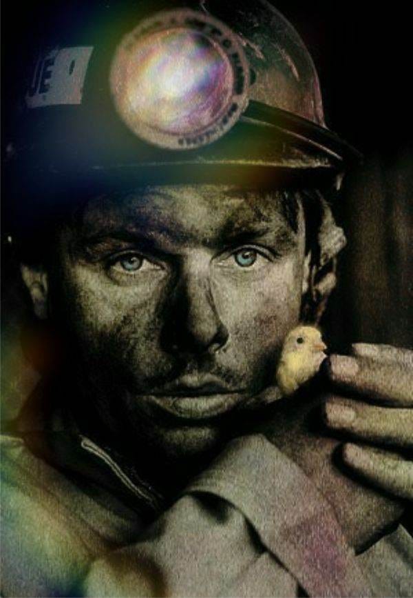 1987. Probleme la zi