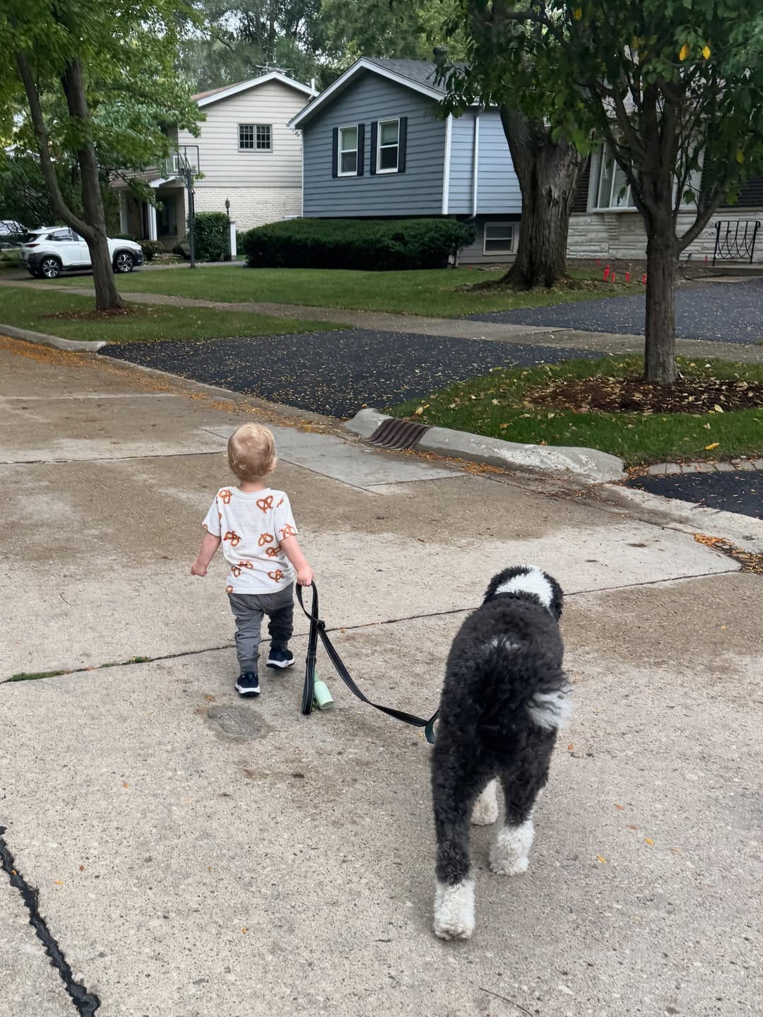 Micah’s son walking the family dog, Buckwheat Micah’s son walking the family dog, Buckwheat