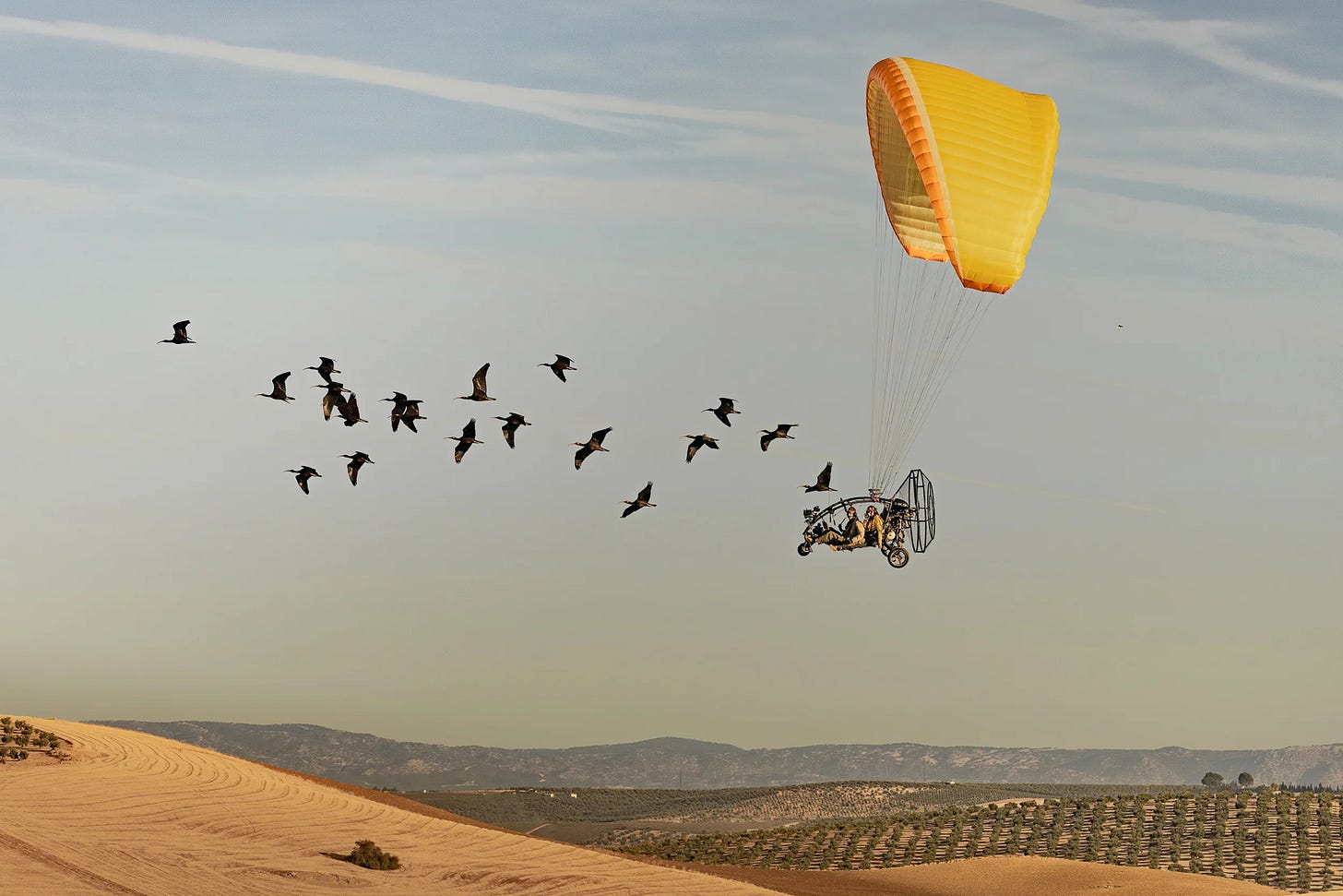 Show a little migration. Credit: Gunnar Hartmann