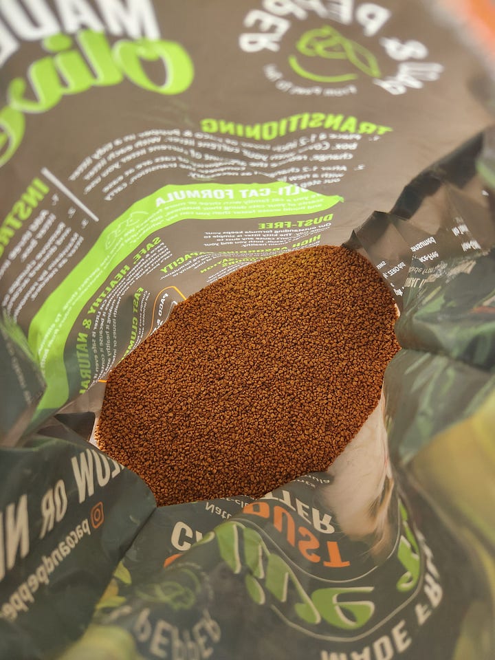 cat litter