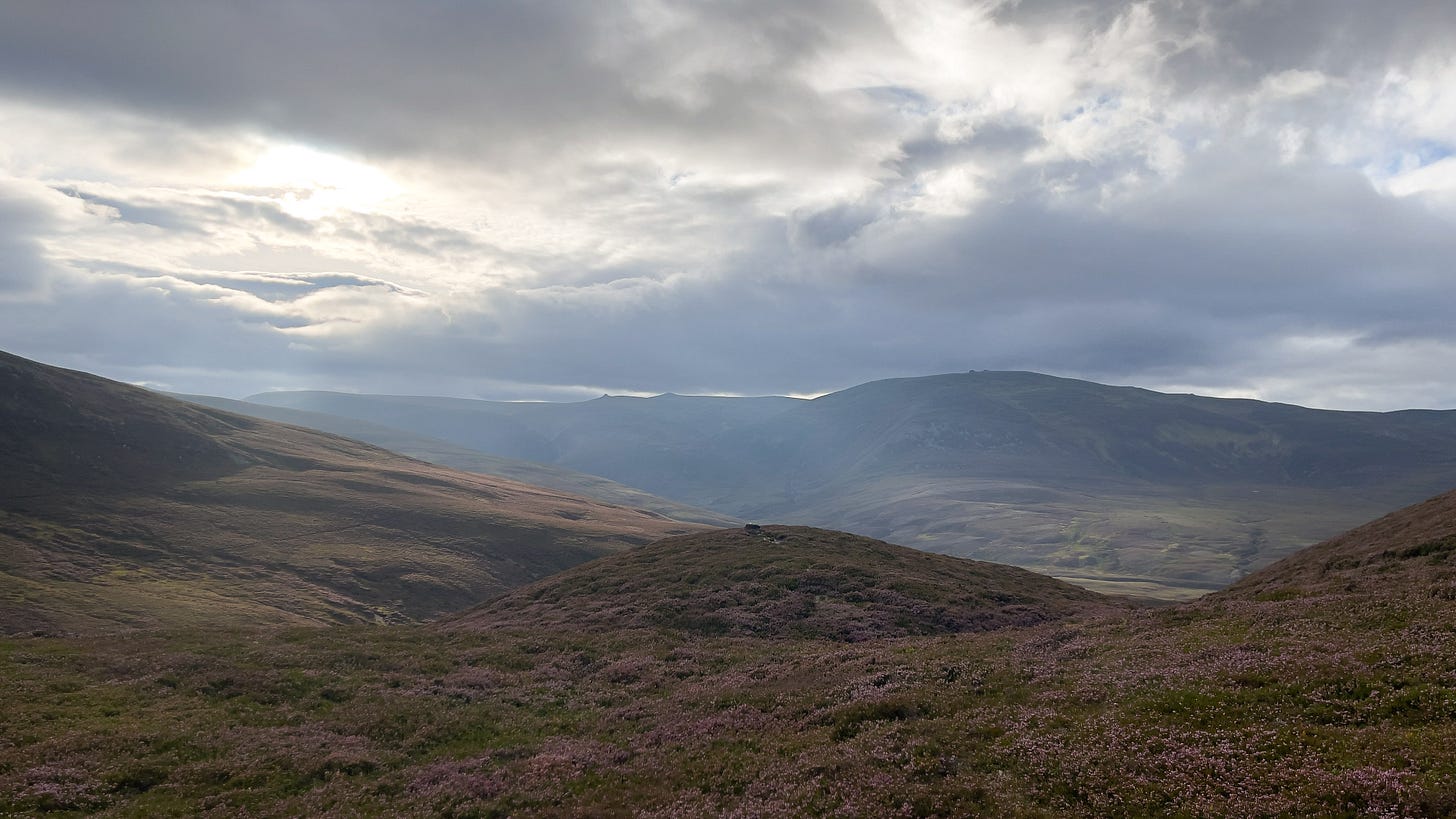 Expansive hills near the peak of a trail, blanketed in blooming heather. Sunlight breaks through passing clouds, casting a warm glow over the landscape. The scene feels untouched by time, like a place that has looked this way for centuries.