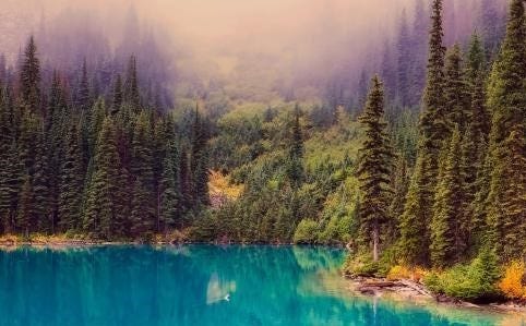 Befriending The Boreal - An Honest Look At The Potential Ecological/Cultural Impacts Of The Large Scale Open Pit Lithium Mines Planned For Northern Canada