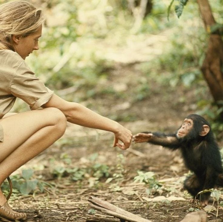 This may contain: a woman kneeling down next to a monkey on the ground and touching it's hand