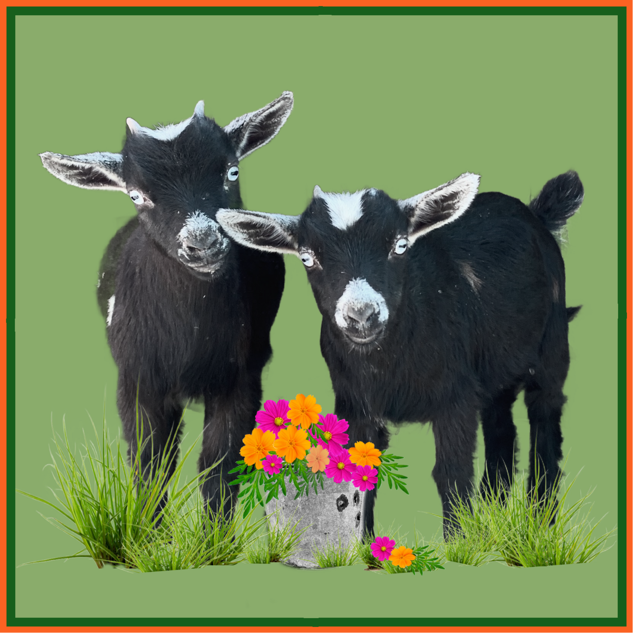 Artwork for Letters from a Shiny Girl