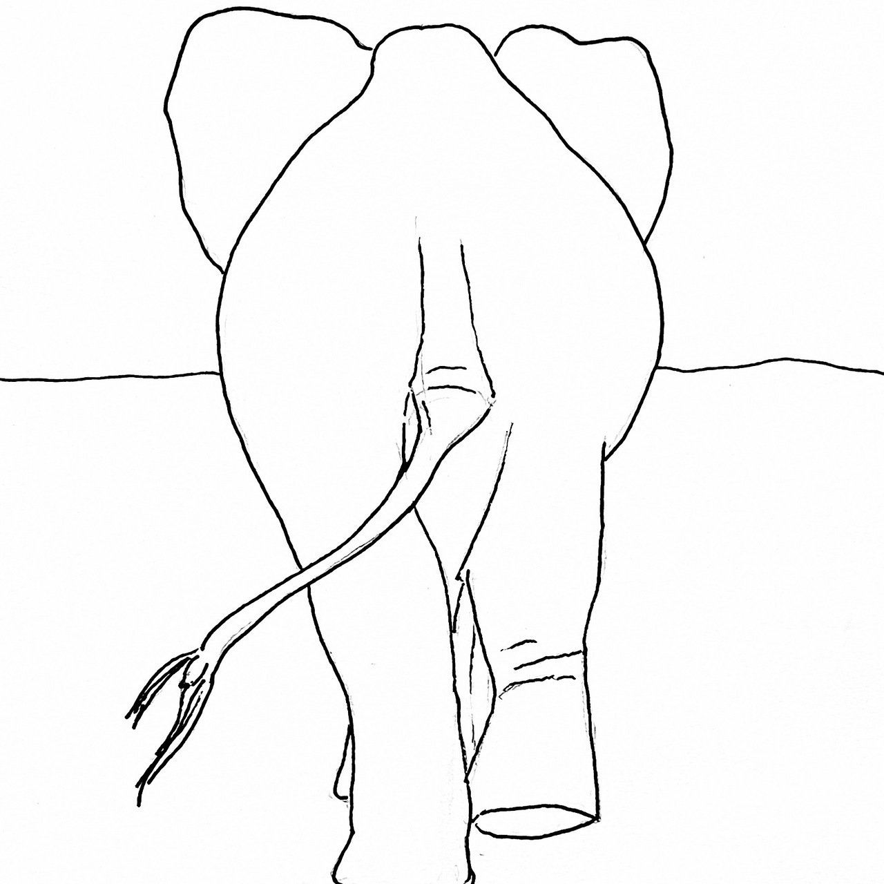 An Elephant’s Tail