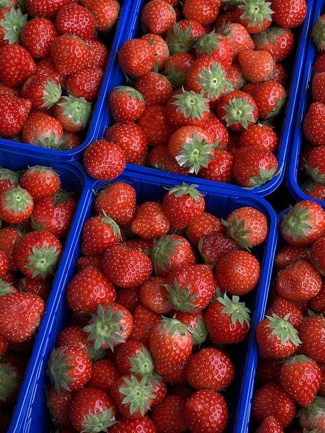 dishwear, strawberries and flowers