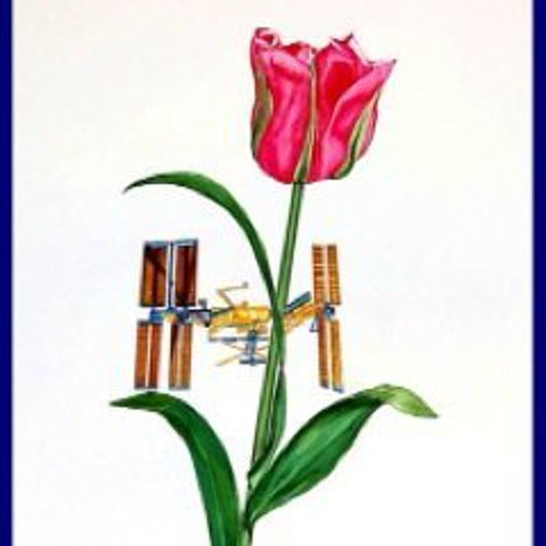 wild type human thoughts