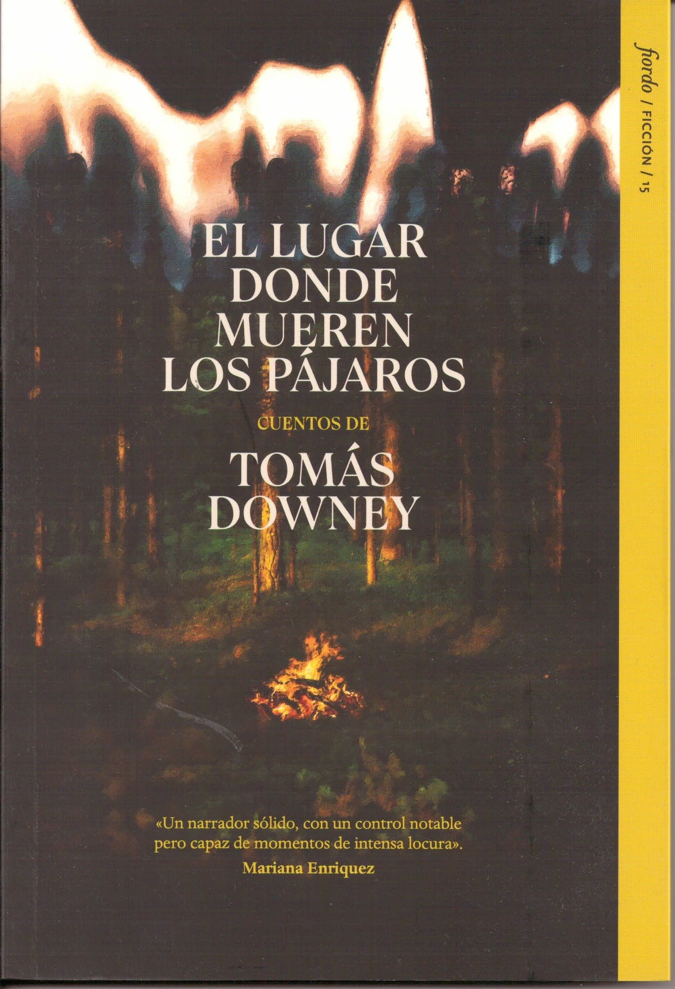 EL LUGAR DONDE MUEREN LOS PÁJAROS de Tomás Downey