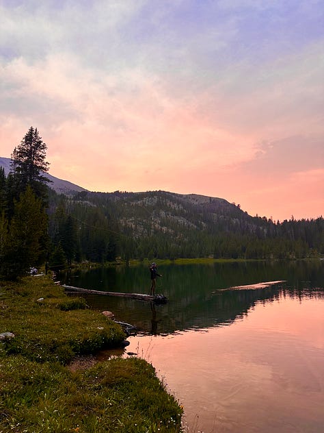 Idaho Sawtooth mountains bike packing fly fishing fireweed climate ecology regeneration 