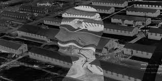 Inside the Archive of an LSD Researcher ...