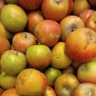 Episode 26 - What's an Ashmead's Kernel Apple?