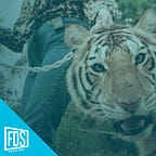 La Newsletter de Fuera de Series