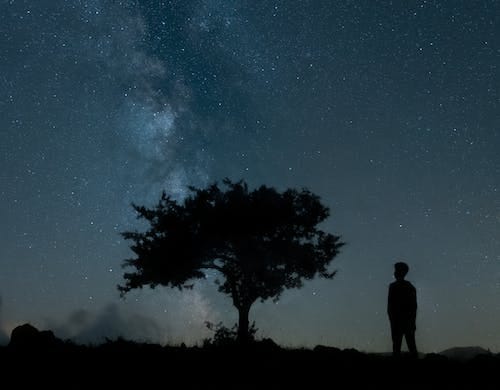 Free Silhouettes of a Man and a Tree on the Background of Starry Night Stock Photo