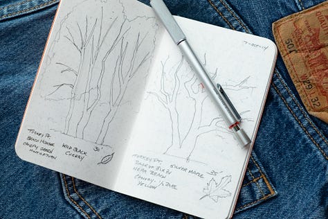 simple pictures every day