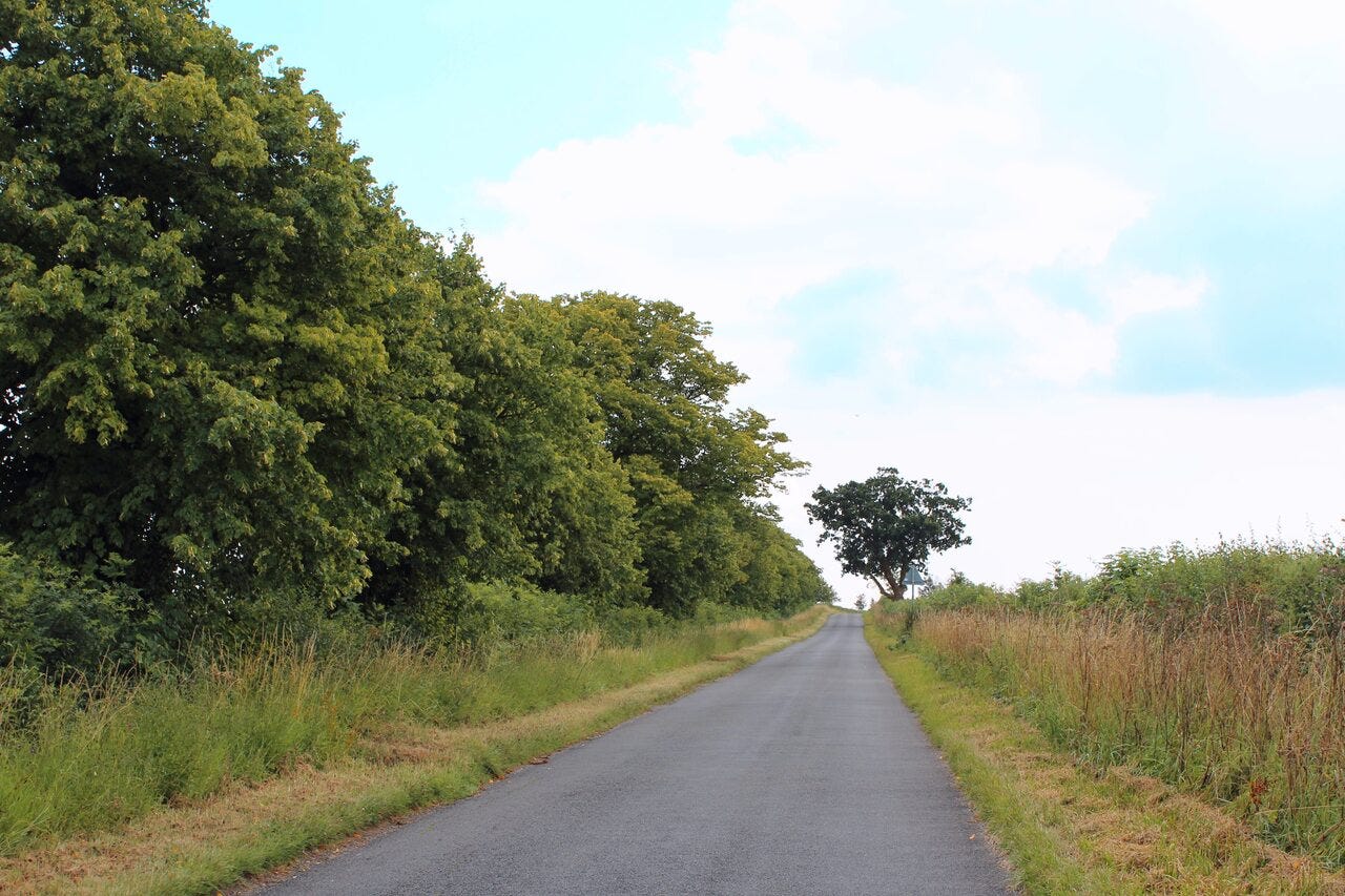 Country lane