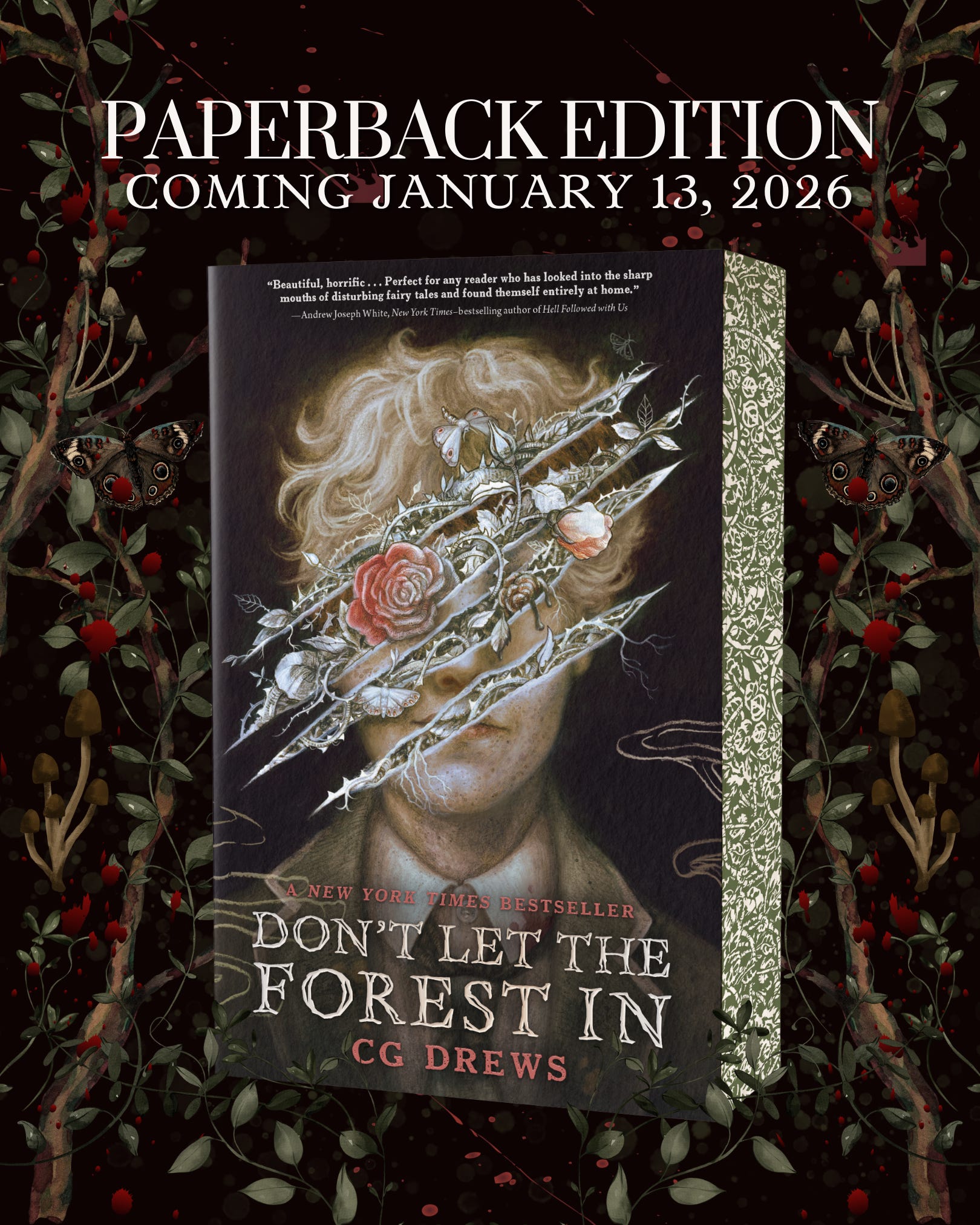 secret news drop!! Don't Let The Forest In as a special edition paperback