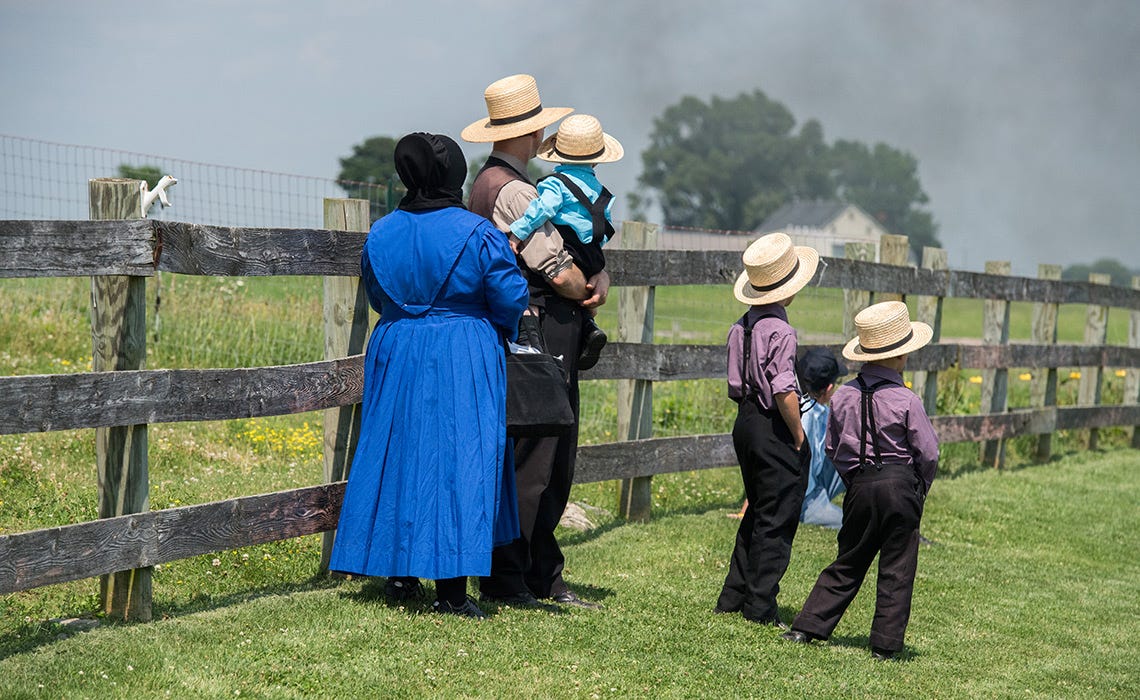 A Era do Autismo: A anomalia entre os Amish A Era do Autismo: A anomalia entre os Amish