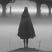 Daleth Tichy's avatar