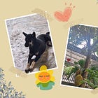 Một nơi chốn chữa lành