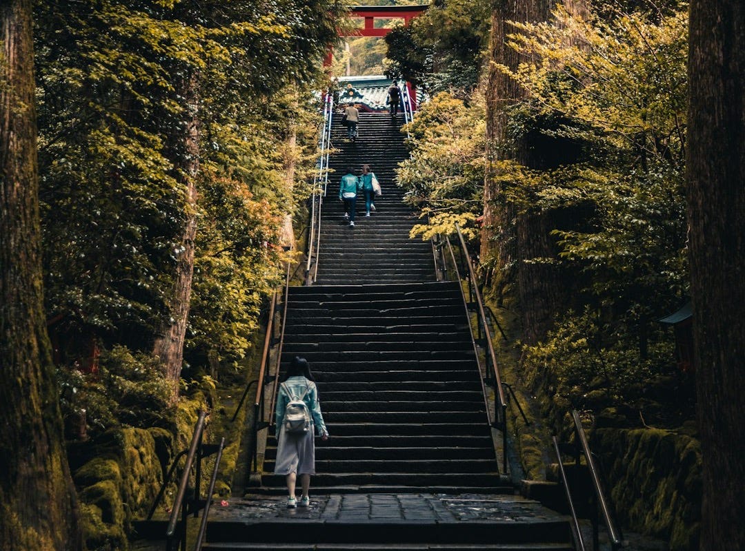 three person walking on stairs between green trees three person walking on stairs between green trees