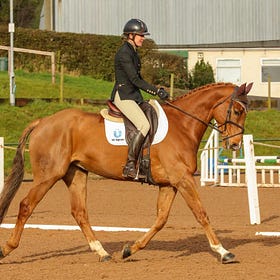 Keep a deep seat at Lusk’s dressage