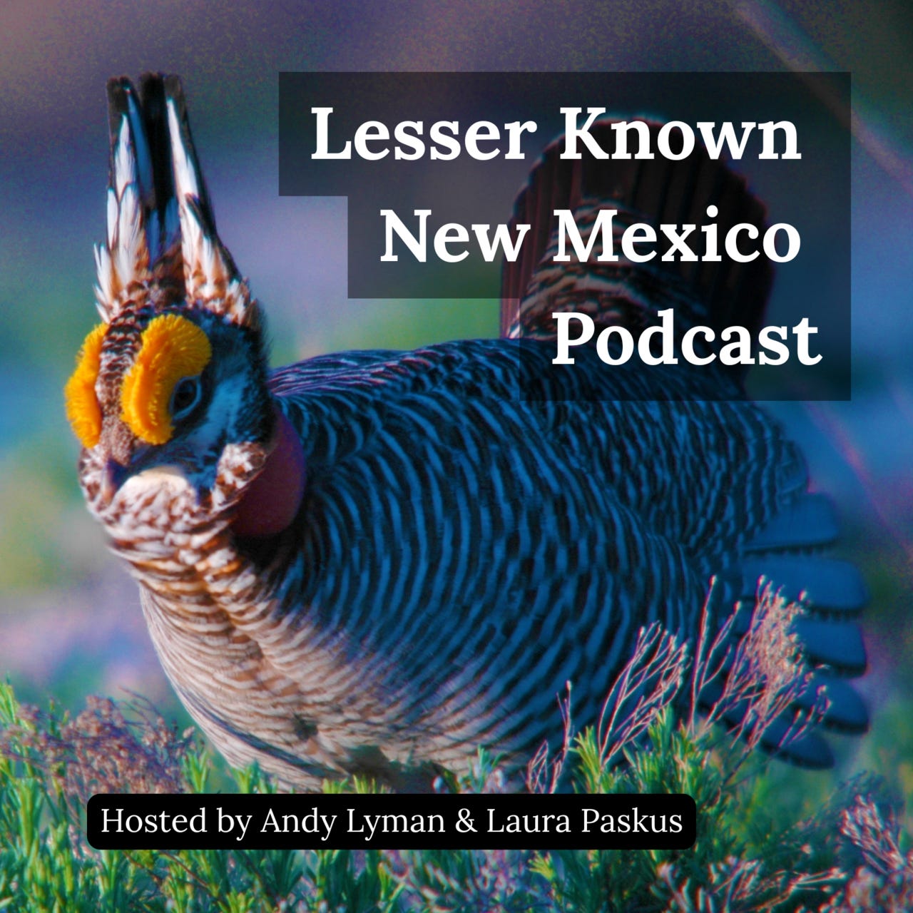 Lesser Known New Mexico Podcast