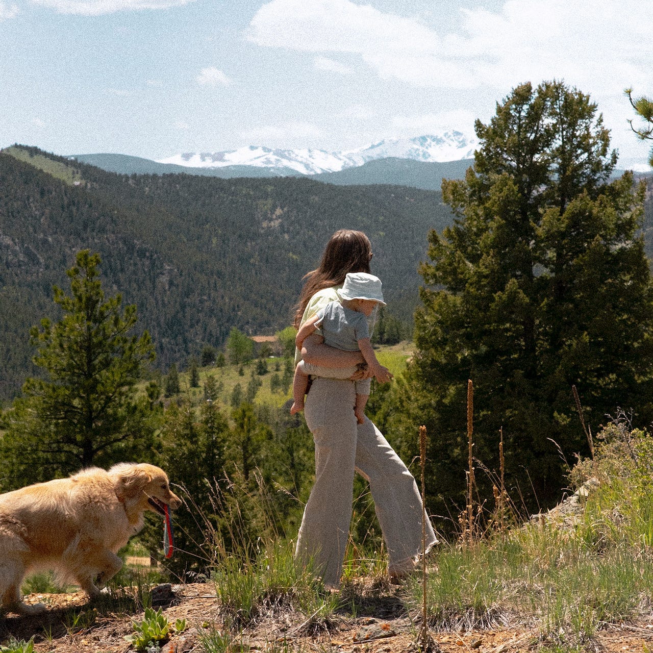 Rewilding with Olivia Lauren