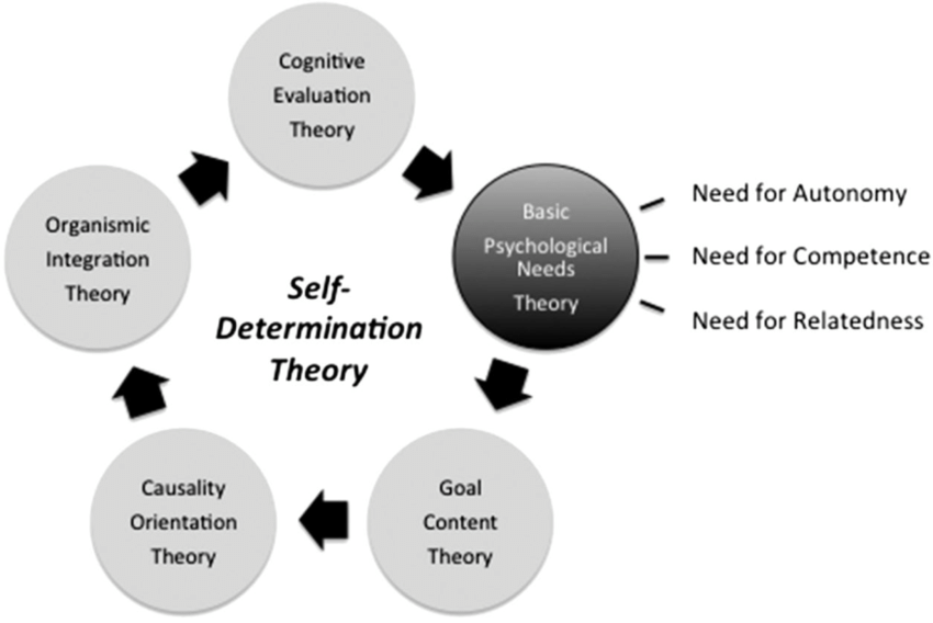 Intrinsic Motivation: A deep dive - by Frazer Mawson