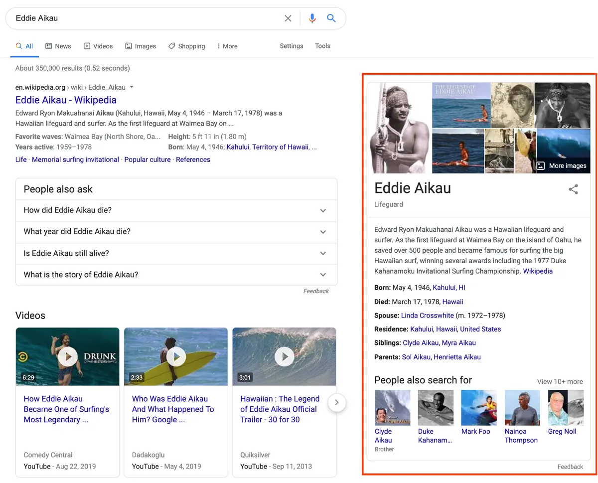 A knowledge panel in Google from the Knowledge Graph