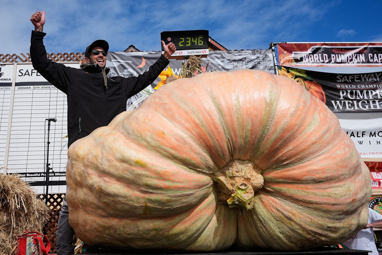 Grower squashes competition in World Championship Pumpkin Weigh-off - ABC  News