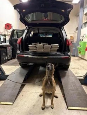 Border Patrol K-9 poses in front of the drug load he detected.
