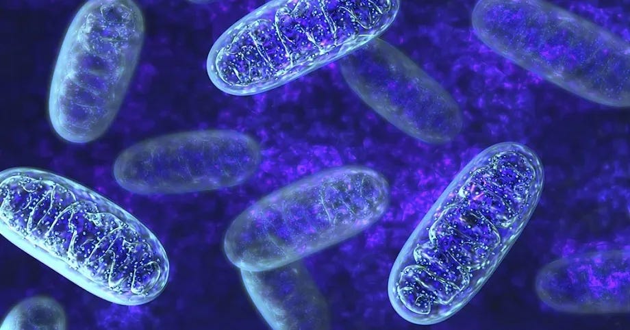 Why Do Cells 'Turning Off' Underlie So Many Chronic Diseases?