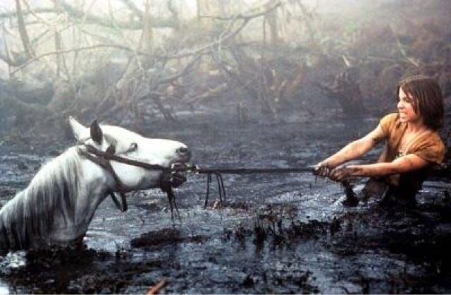 Swamp of Sadness: My Journey With Apathy Swamp of Sadness: My Journey With Apathy