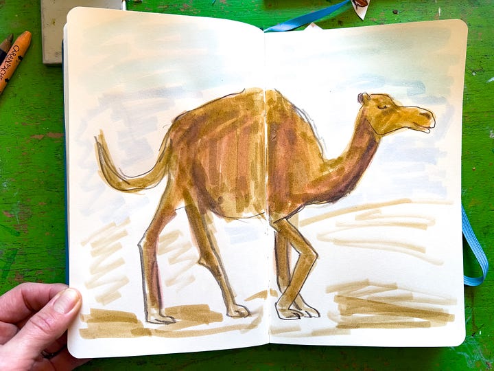 animal drawings by beth spencer