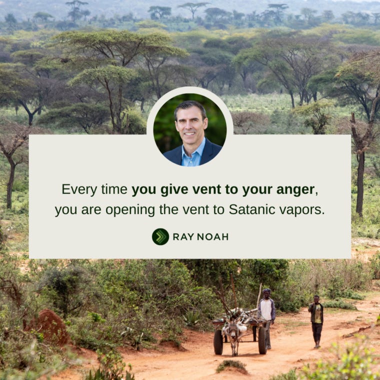 The Antidote to Anger, Ray Noah