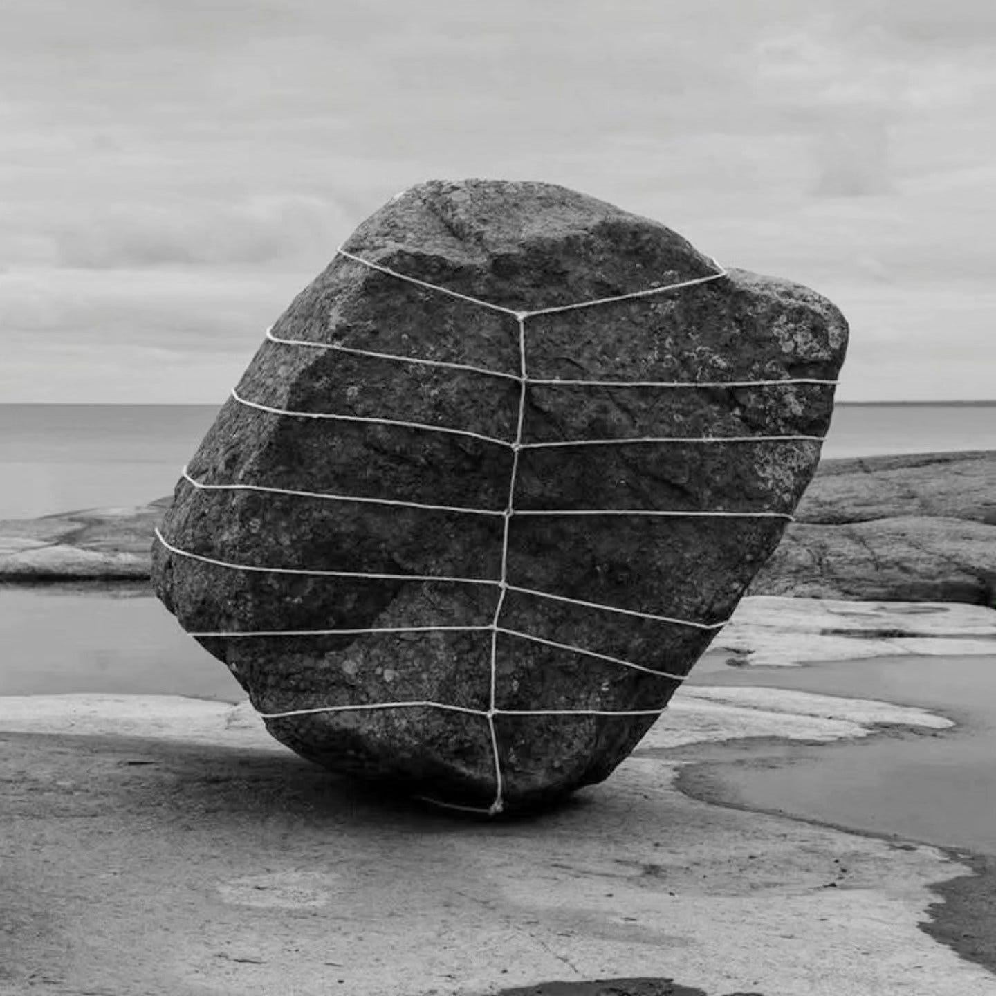 May be a black-and-white image