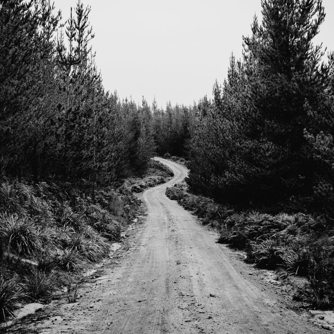 stories by hank porter